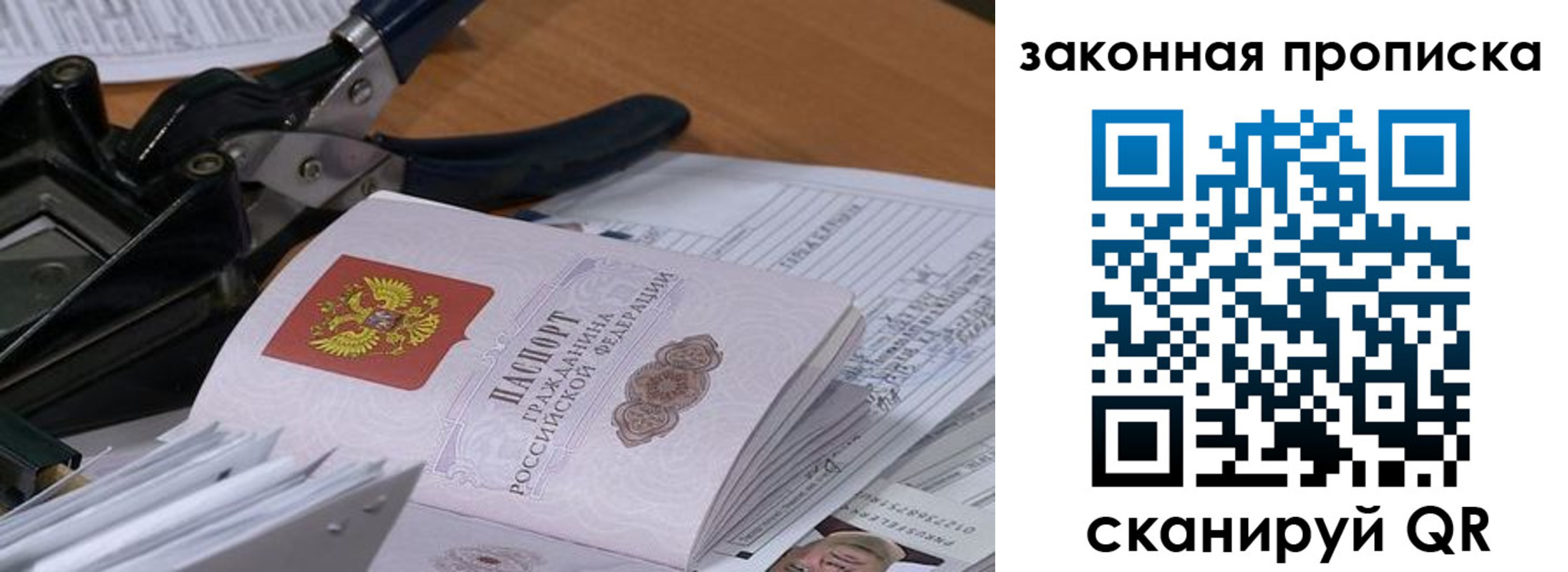 прописка 2025 в Ельне